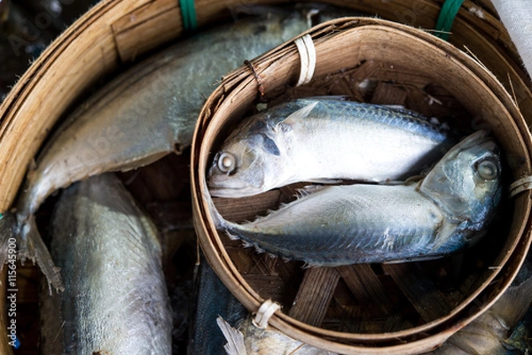 Obraz steam mackerel