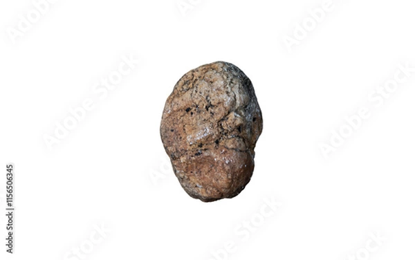 Obraz small brown stone isolated on transparent background