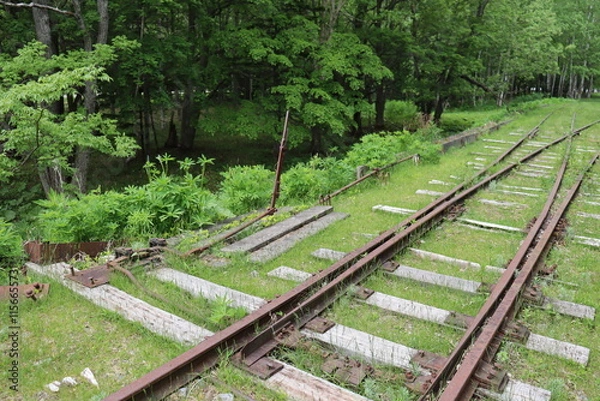 Fototapeta 旧国鉄士幌線