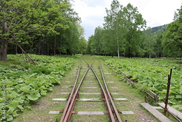 Fototapeta 旧国鉄士幌線