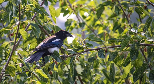 Obraz bird on a branch