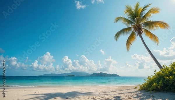 Fototapeta Idyllic tropical beach with a palm tree under a clear blue sky