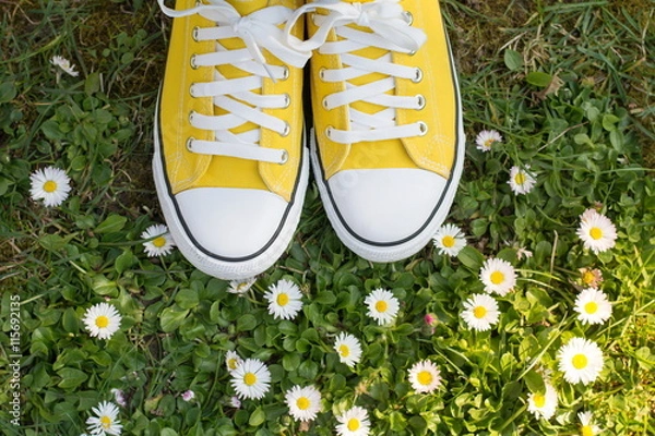 Obraz Yellow sneakers in a dasiy field