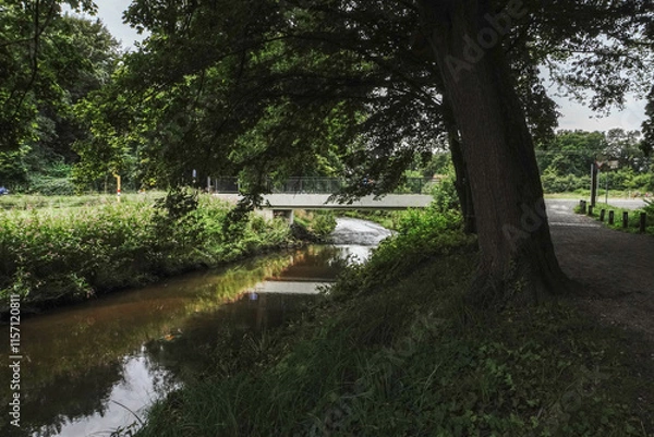 Fototapeta A park with a river gently winding through greenery and trees
