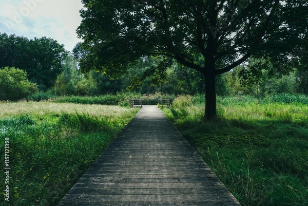 Fototapeta A wooden path winds through the park, blending harmoniously with nature