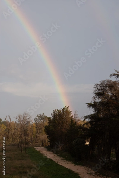Obraz rainbow over the river