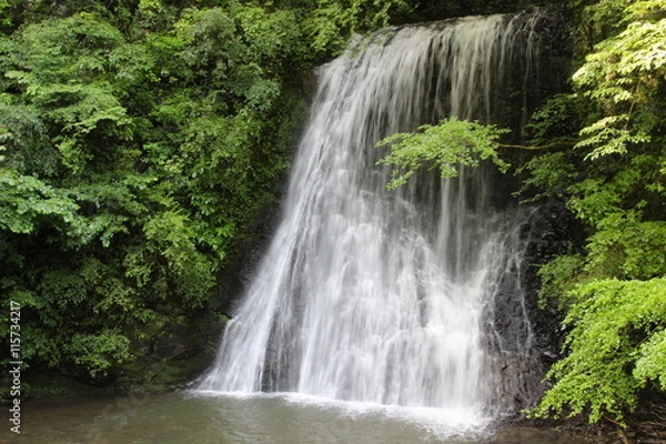 Fototapeta 四方木不動滝