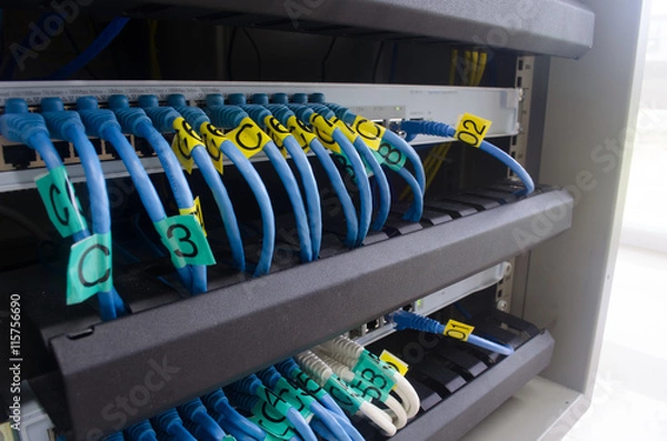 Fototapeta Man hand connect LAN cable to Switch internet, Selective Focus