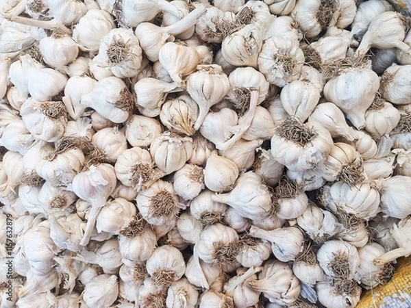 Obraz Garlic 