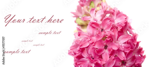 Obraz beautiful  spring flower