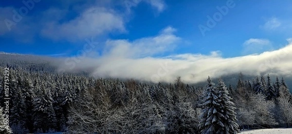 Obraz clouds over the mountains