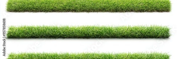 Fototapeta A seamless horizontal collection of green grass borders, isolated on a white background. 3D render. 3D illustration