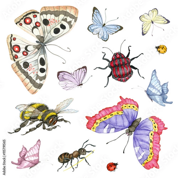Obraz Watercolor insects set