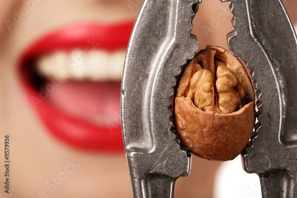 Obraz woman with nutcracker