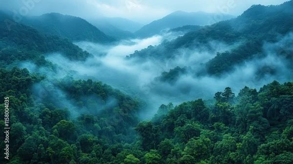 Fototapeta a static view of a forest covered by fog during a cold winter day in the mountains serra da mantiqueira brazil