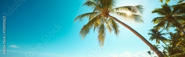 Fototapeta Stunning view of coconut trees along a serene beach with turquoise waters and golden sands, creating a tropical paradise under a clear blue sky.