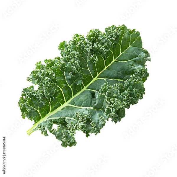 Fototapeta Fresh green kale leaf isolated Transparent Background.