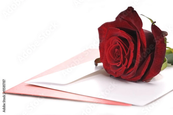 Obraz Red Rose and Card
