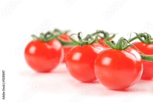 Obraz Cherry tomatoes