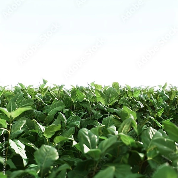 Fototapeta Tree on a green field isolated on white background