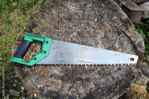 Obraz Old saw on the log