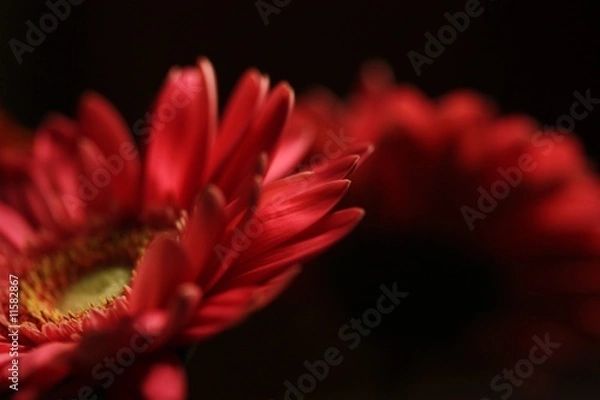 Obraz すれちがい