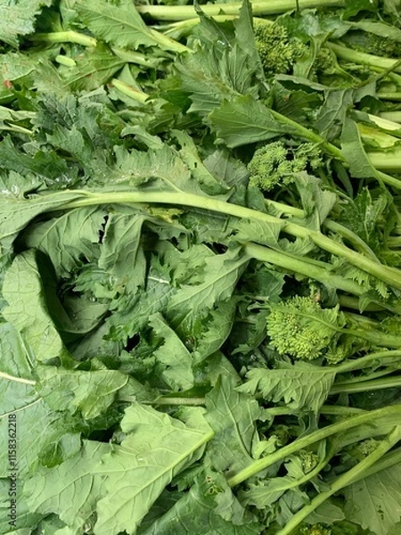 Fototapeta Rapeseed in a vegetable market. Cime di rapa in italian language
