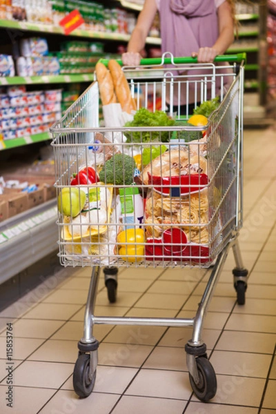 Obraz Trolley full of products