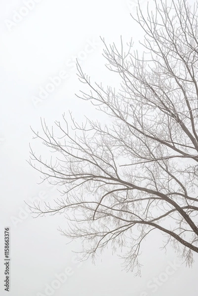 Fototapeta Soft, foggy sky with muted gray tones, creating a calm and mysterious background