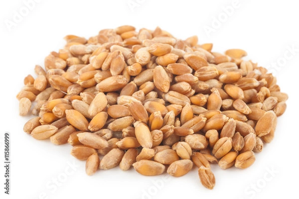 Fototapeta wheat grain