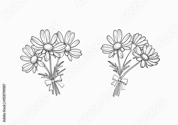 Fototapeta Set isolated bouquets branches of flowers chamomile with bow outline drawing hand drawn white background.