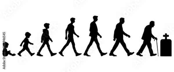 Fototapeta Vector illustration. Silhouette of growing up man from baby to old age. Many people of different ages in a row.	
