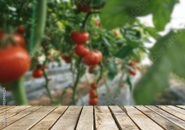 Fototapeta Wooden table top on blur tomato field background in daytime.Harvest rice or whole wheat.For montage product display or design key visual layout.View of copy space.