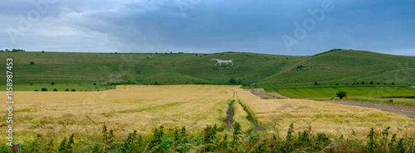 Fototapeta Views in the Vale of Pewsey, Wiltshire