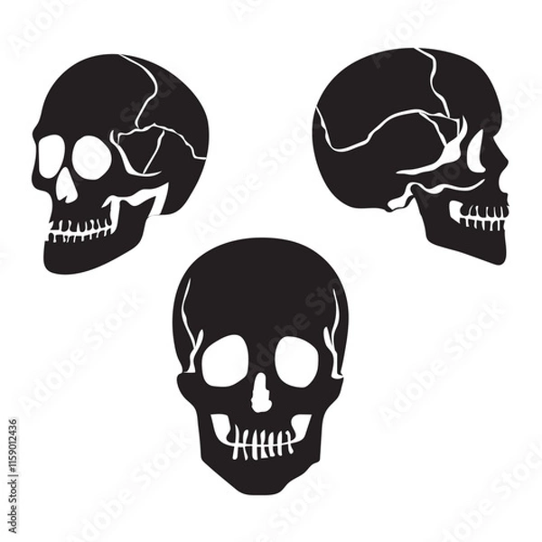 Fototapeta Skull Silhouette: Gothic Icon, Death Concept, Spooky Design, Flat Vector Illustration