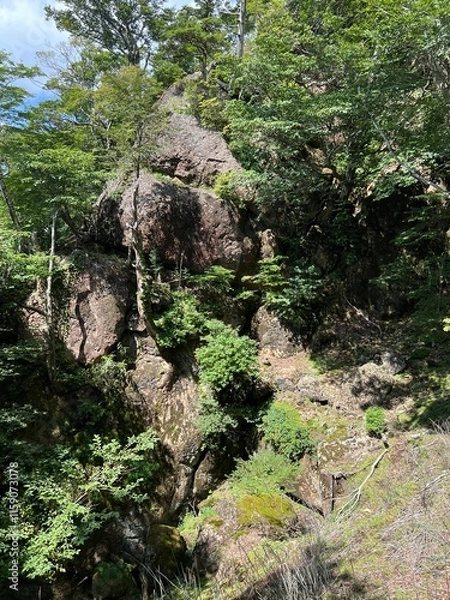 Fototapeta 祖母山登山道