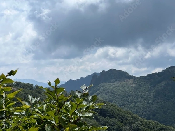 Fototapeta 祖母山登山道