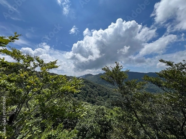 Fototapeta 祖母山登山道