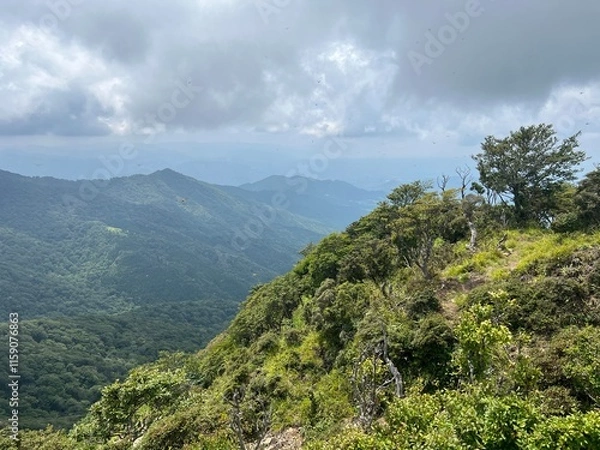 Fototapeta 祖母山山頂眺望