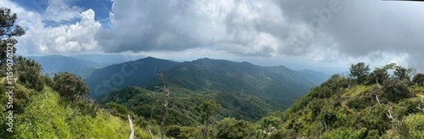 Fototapeta 祖母山山頂眺望