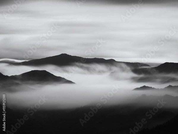 Obraz 白黒の山の景色