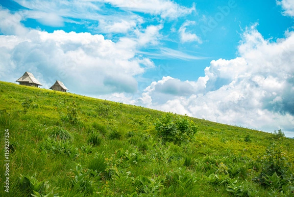 Fototapeta Bieszczady góra góry połoniny las drzewa dolina niebo chmury wiosna lato