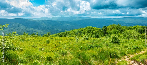 Fototapeta Bieszczady góra góry połoniny las drzewa dolina niebo chmury wiosna lato
