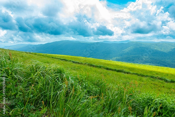 Fototapeta Bieszczady góra góry połoniny las drzewa dolina niebo chmury wiosna lato