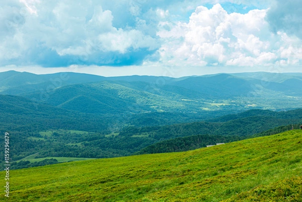 Fototapeta Bieszczady góra góry połoniny las drzewa dolina niebo chmury wiosna lato