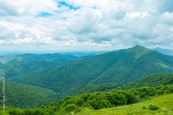 Fototapeta Bieszczady góra góry połoniny las drzewa dolina niebo chmury wiosna lato