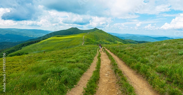 Fototapeta Bieszczady góra góry połoniny las drzewa dolina niebo chmury wiosna lato