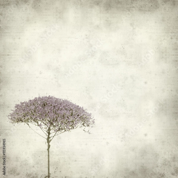 Fototapeta textured old paper background