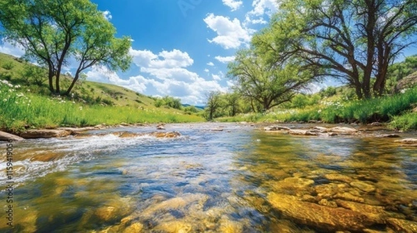 Fototapeta Crystal clear stream flows through lush green valley under sunny sky.