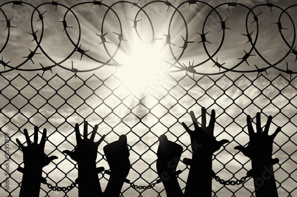 Fototapeta Silhouette of a crowd of hands in handcuffs